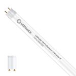 Ledvance Rura LED T8 Performance (EM/Mains) Standard Output 7W 990lm - 830 Ciepła Biel | 60cm - Zamienne 18W